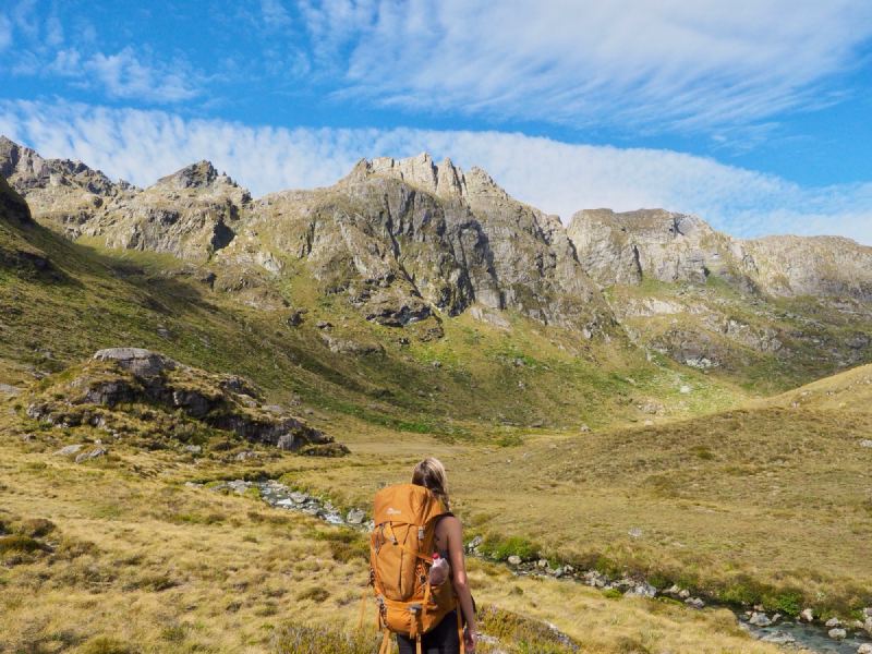 new-zealand1
